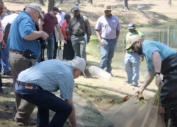 Buie Family Pond Management Workshop